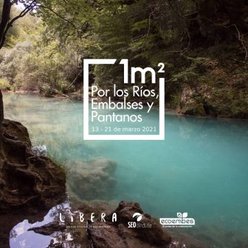 Limpieza de rios - colchones ecologicos